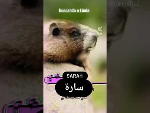 منبه بإسم سارة ساره منبه