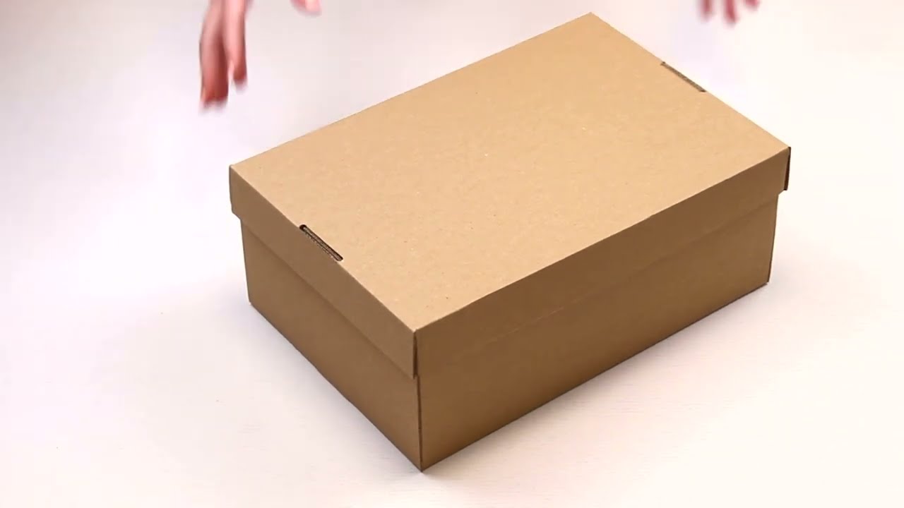 Caja para zapatos con tapa