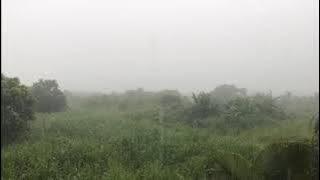 Calming music and relaxing with rain sounds for sleep, peaceful piano, relaxing music , deep sleep