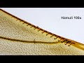 Insect wing hamuli