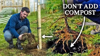How to Plant a BareRoot Fruit Tree | Zero Fertility Method