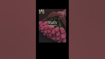 واستغفروا الله إنّ الله غفور رحيم #تلاوةخاشعة #قرآن_كريم