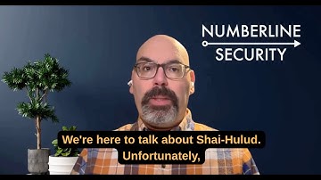 The Shai-Hulud worm attack: What it is and what to do about it