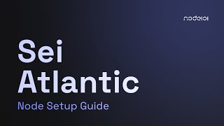 Sei Atlantic Incentivized Testnet Node Setup Guide