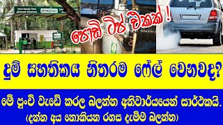 Vehicle Emission Testing Failure (ECO Test) | ECO Test 2021 Sinhala