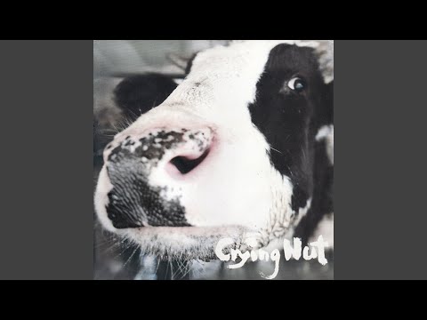 오줌싸개 - 크라잉넛