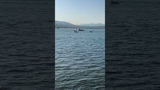 Море позитива #youtubeshorts #море