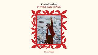 Video thumbnail of "Curtis Harding - "It's A Wonder" (Full Album Stream)"