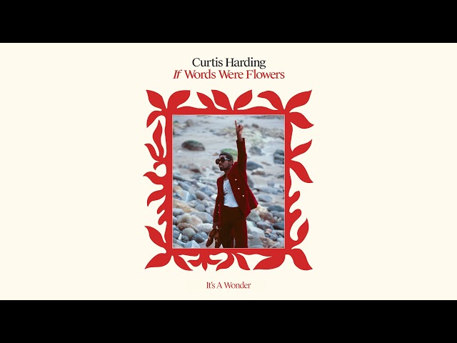 Curtis Harding - It's A Wonder