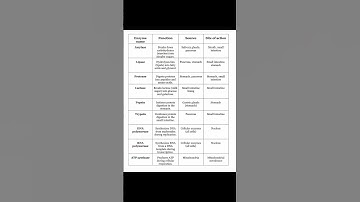 Amylase, lipase, protease, RNA polymerase |  characteristics of enzymes| classification of enzymes