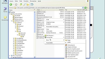 T2Ti ERP - Java - Look And Feel - Video Aula 03 - Substance