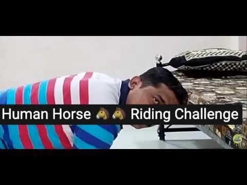 slay point riding horse challenge