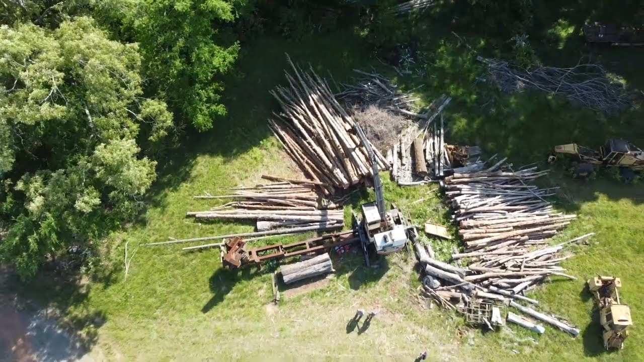 This Is How We Get Logs at The Sawmill YouTube