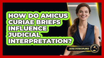 How Do Amicus Curiae Briefs Influence Judicial Interpretation? - Justice System Explained