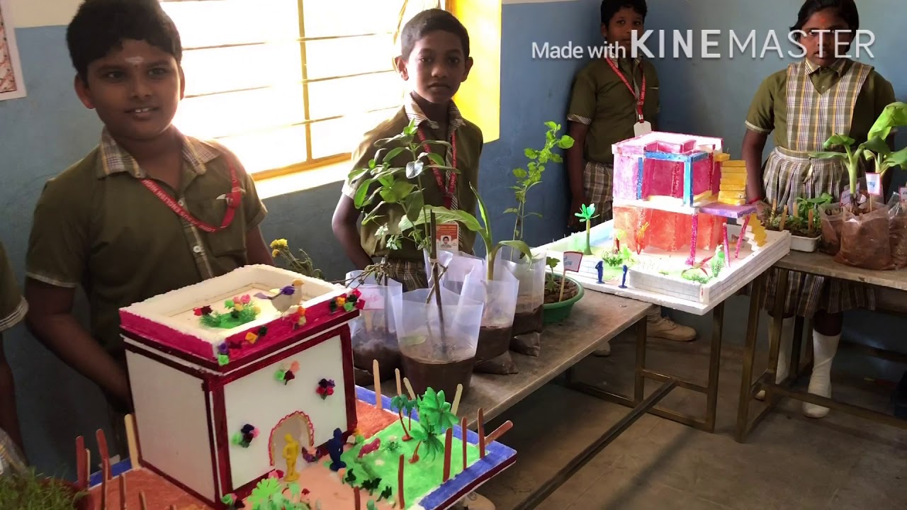 AGRI EXPO 2020 LORD JESUS SCHOOL YouTube