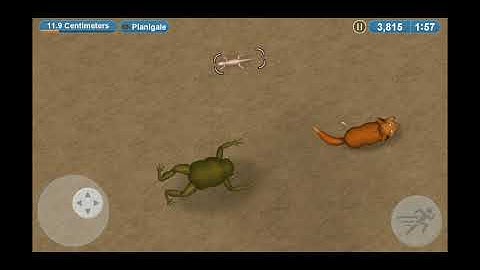 Tasty Planet Forever - Dingo - Final Level