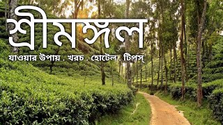 শ্রীমঙ্গল ভ্রমণের সবকিছু এক ভিডিওতে | Sreemangal Tourist Place | Sreemangal Tour