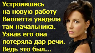 Устроившись на новую работу Виолетта увидела там начальника. Узнав его она потеряла дар речи...