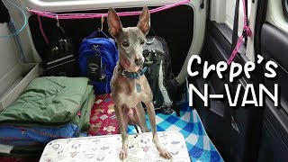 Crepe's N-VAN「Nバンでイタグレを搬送してみた(^o^)」＋ イタリアングレイハウンド＋ぷらり車中泊