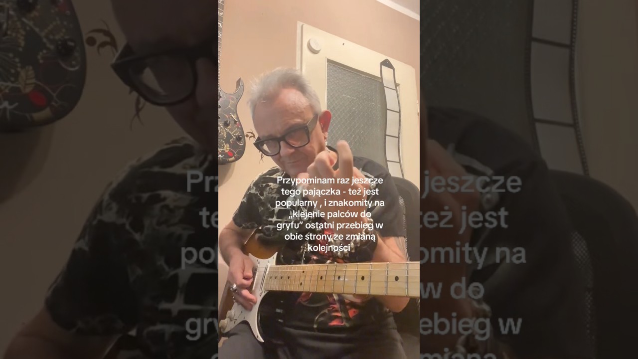 Znakomity pajączek 😎👌🎸 #guitar #guitarist