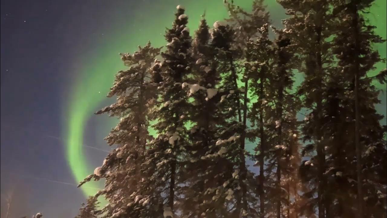 Northern Lights Shimmer in Northern Manitoba Sky YouTube