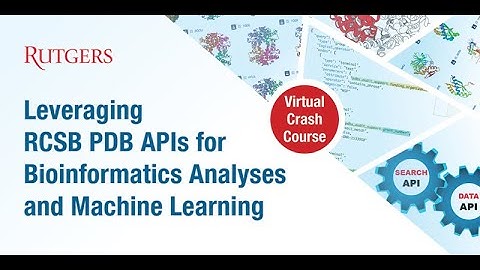 Leveraging RCSB PDB API