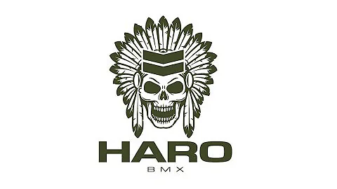 Haro BMX - Dennis Enarson and His New RAW SDv2 Frame