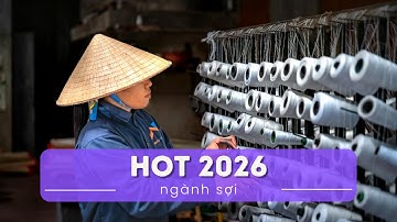 Ngành sợi sẽ thành hot trend 2026 ?!
