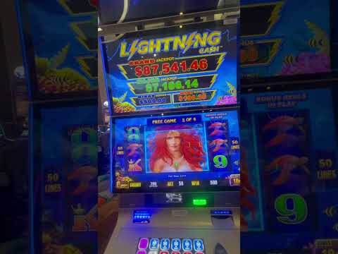 (SAFR)#7 Casino Grand opening (law enforcement)