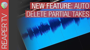 Reaper Quick Tip: Auto Delete Partial Takes
