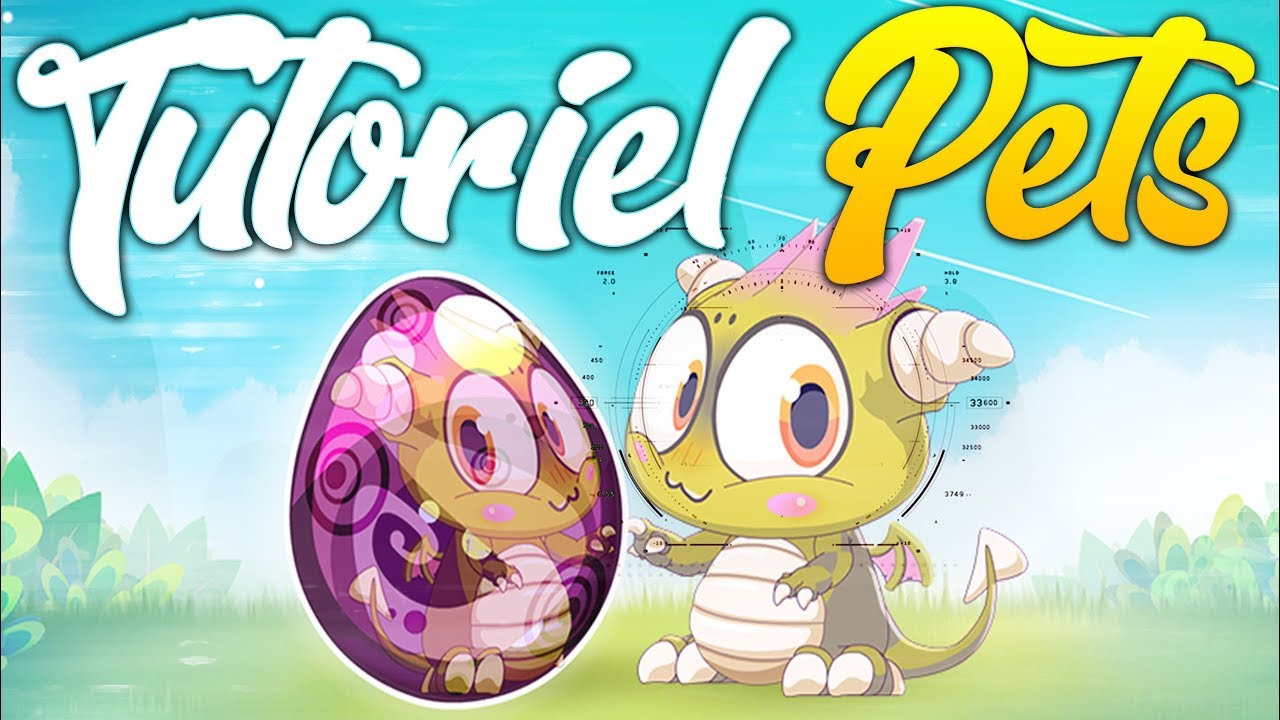 [TUTO/GUIDE] Dofus Pets Conseils & astuces pour réussir les 6