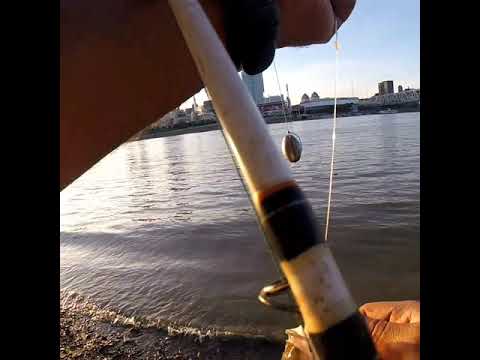 OHIO RIVER BANK FISHING,Cincinnati,Ohio 6-6-18 - YouTube