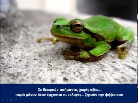 ΣΥΝΔΕΣΜΟΣ ΕΘΝΙΚΗΣ ΕΝΟΤΗΤΑΣ