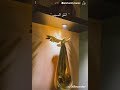 ستوريات الشامي الآن حب وحنان اكسبلور Music ترند ستوريات الشامي الآن حب وحنان اكسبلور Music ترند