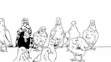 CATALYST - The Weight of the Wind