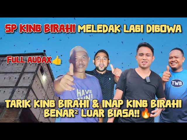 SP KING BIRAHI meledakk lagi digowa. Tarik king birahi dan inap king birahi benar² luar biasa class=