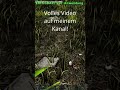 Nur ein Joke!!! Schaut gerne bei dem vollen Video vorbei!