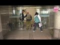 Japan serow wanders into bank and safely captured in Niigata