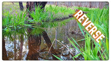 FPV | Up The Creek In Reverse • Weird Crash - Rewind Edit With Filmora 9.0 | 𝙁𝙧𝙚𝙚𝙨𝙩𝙮𝙡𝙚 ᵃᵘˢ