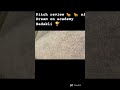 #pitch  review 🐆🐅🐅 of Dream on academy Badakli 🏆##kaman king warriors #shorts #shortvideo #viral#wow