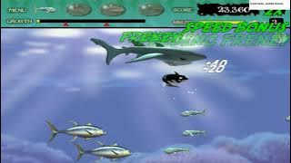 Feeding Frenzy - Stage 38