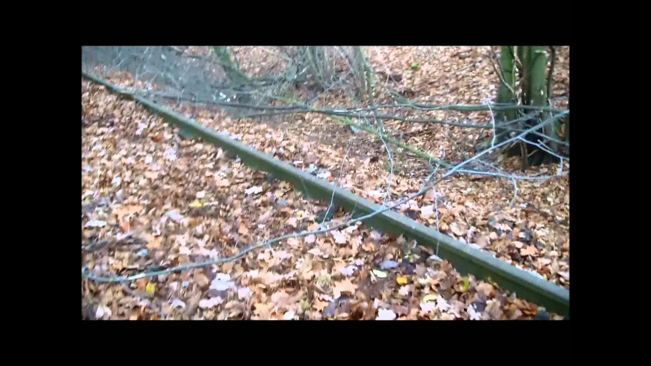 Erinnerungen an eine längst vergessene Eisenbahnstrecke ex KBS 249 Scherfede Holzminden