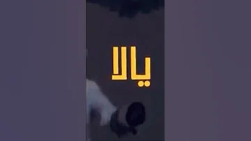 كيف الصقر الترند رقم 1 في ليبيا 