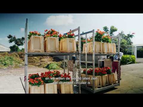 video Holla Roses PLC – Circular Farming
