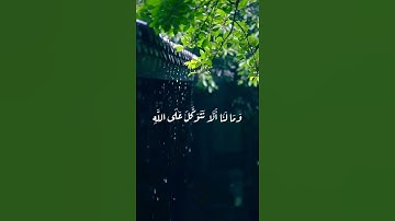 و مالنا الاّ نتوكل على الله🌿حالات واتساب🌿حالات واتس ابد دينيه🌿تلاوة هادئة🌿تلاوة خاشعة🌿قرآن كريم