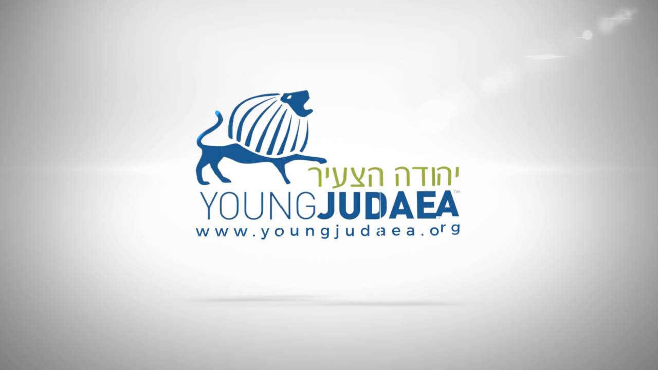 israel internship programs