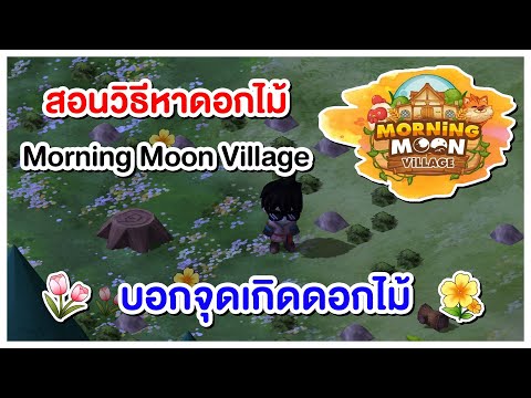 Morning Moon Village สอนวิธีหาดอกไม้