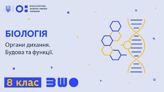 8 клас. Біологія. Органи дихання. Будова та функції