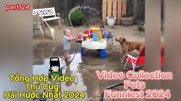 Tổng Hợp Video Thú Cưng Hài Hước Nhất 2024 |Video Collection Pets  Funniest 2024 | Part 24 .