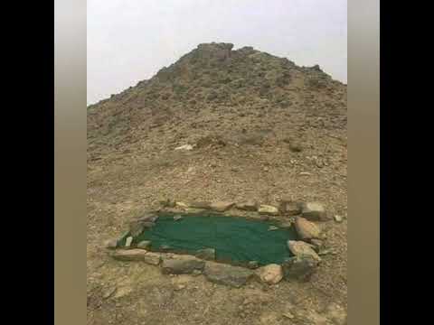 قبر أم الرسول صلى الله عليه وسلم       